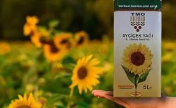 TMO AYÇİÇEK Yağı Alacaklar! 75 TL’ye Yağ Mı Olur Dedi, İnanmadı! 5 Litresi YOK Satıyor!